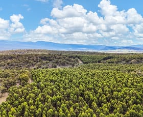 Rural / Farming commercial property sold at 241 Williams Road Royal George TAS 7213