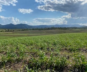 Rural / Farming commercial property for sale at 21/ Wintons Road Yalboroo QLD 4741