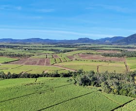 Rural / Farming commercial property for sale at Lot 21, 241 Wintons Road Yalboroo QLD 4741