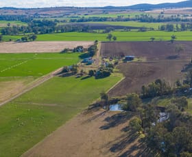 Rural / Farming commercial property sold at Settlement Bridge Road Canowindra NSW 2804