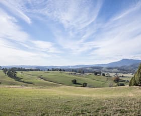 Rural / Farming commercial property sold at Lot 2 Rowleys Hill Road Karoola TAS 7267
