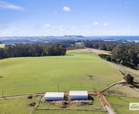 Rural / Farming commercial property for sale at 581 Deep Creek Road Wynyard TAS 7325