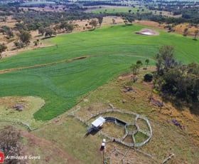 Rural / Farming commercial property for sale at 2540 Elsmore Road Newstead NSW 2360