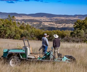 Rural / Farming commercial property for sale at 113 Wrens Lane Wyberba QLD 4382