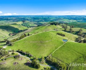 Rural / Farming commercial property for sale at 8 Curwen Road Mountain View VIC 3988