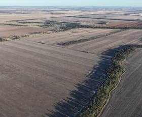 Rural / Farming commercial property for sale at Terlings & Dundenoon Moree NSW 2400