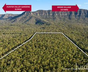 Rural / Farming commercial property for sale at Lot 79 Broke Road Pokolbin NSW 2320