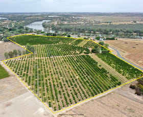 Rural / Farming commercial property sold at 615 Delta Road Curlwaa NSW 2648