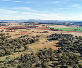 Rural / Farming commercial property sold at 7888 Burrendong Way Dripstone NSW 2820