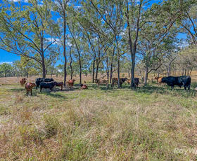 Rural / Farming commercial property for sale at 2364 Gin Gin Mount Perry Road New Moonta QLD 4671