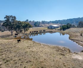 Rural / Farming commercial property sold at 133 Wangalo Road Peelwood NSW 2583