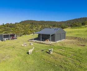 Rural / Farming commercial property for sale at 20 Blueberry Lane Booral NSW 2425