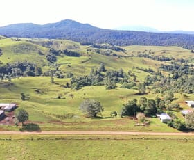 Rural / Farming commercial property for sale at 273 Sutties Gap Road Millaa Millaa QLD 4886