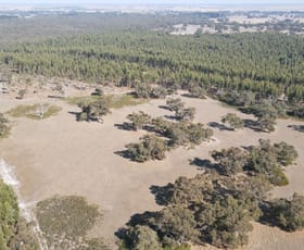 Rural / Farming commercial property sold at Section 386 Black Range Road Lucindale SA 5272