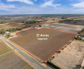 Rural / Farming commercial property sold at Lot 1 Euston Avenue Irymple VIC 3498