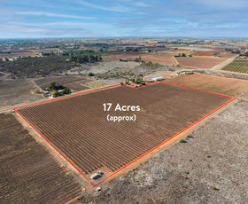 Rural / Farming commercial property for sale at Lot 2 Pawson Avenue Cardross VIC 3496
