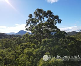 Rural / Farming commercial property sold at Wilson Road Clumber QLD 4309