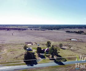 Rural / Farming commercial property for sale at 8614 Murray Valley Highway Echuca Village VIC 3564