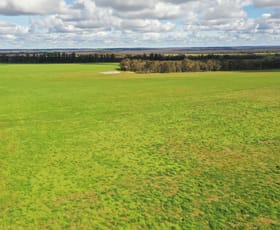 Rural / Farming commercial property for sale at 977 & 1053 Bokerup Road Frankland River WA 6396