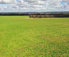 Rural / Farming commercial property sold at 977 & 1053 Bokerup Road Frankland River WA 6396