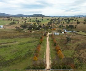 Rural / Farming commercial property for sale at Romani Kingstown NSW 2358