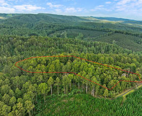 Rural / Farming commercial property sold at 30 Carlisle Valley Road Carlisle River VIC 3239