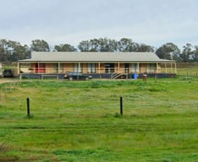 Rural / Farming commercial property for sale at Koonoomoo VIC 3644