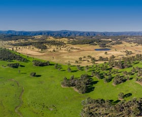 Rural / Farming commercial property for sale at 161 Hickeys Road Armidale NSW 2350