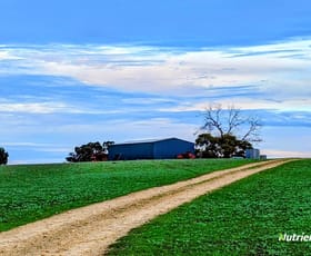 Rural / Farming commercial property for sale at Lot 13 Military Road Muckenburra WA 6503