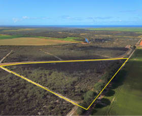 Rural / Farming commercial property for sale at 53 Orchid Road Hopetoun WA 6348