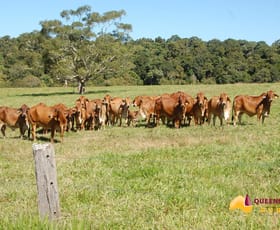 Rural / Farming commercial property for sale at Danbulla QLD 4872