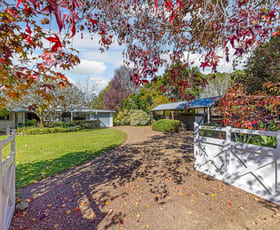 Rural / Farming commercial property sold at 251 Palmwoods-Montville Road Palmwoods QLD 4555
