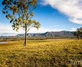 Rural / Farming commercial property for sale at 40 Mistletoe Lane Pokolbin NSW 2320