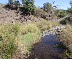 Rural / Farming commercial property for sale at Lot 1   1872 Mole River Road Tenterfield NSW 2372