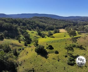 Rural / Farming commercial property for sale at 2425 Pine Creek Road Kyogle NSW 2474