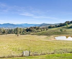 Rural / Farming commercial property for sale at 442 Old Tonga Road Mansfield VIC 3722