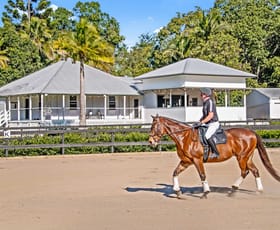 Rural / Farming commercial property sold at 76 Old Gympie Road Glenview QLD 4553