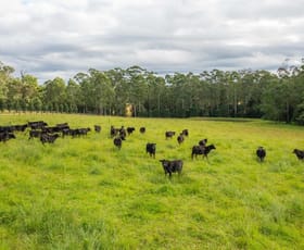 Rural / Farming commercial property for sale at 141 Bril Bril Road Rollands Plains NSW 2441
