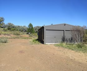 Rural / Farming commercial property for sale at 61 White Horse Road Cowra NSW 2794