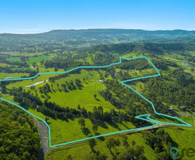 Rural / Farming commercial property for sale at 6 Hiscockes Road Theresa Creek NSW 2469