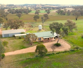 Rural / Farming commercial property for sale at Milgarra 6 Sullivans Road Manildra NSW 2865