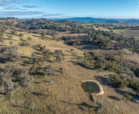 Rural / Farming commercial property for sale at 498 Decca Road Bigga NSW 2583