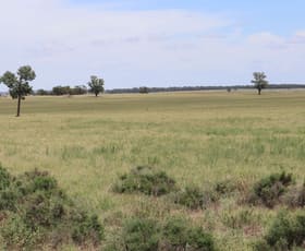 Rural / Farming commercial property sold at 523 Norris Lane West Wyalong NSW 2671
