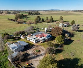 Rural / Farming commercial property for sale at 9 Buckland Street Molong NSW 2866
