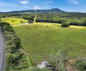 Rural / Farming commercial property for sale at 1181 Mossman-Mount Molloy Road Julatten QLD 4871