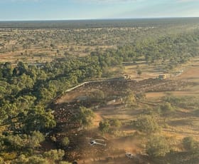 Rural / Farming commercial property sold at * Murray Downs Station Alice Springs NT 0870