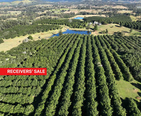 Rural / Farming commercial property for sale at 522 McIntosh Creek Road Mcintosh Creek QLD 4570