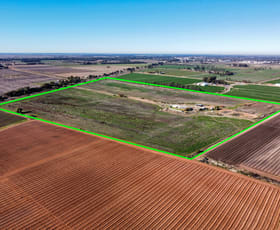Rural / Farming commercial property sold at 491 Murray Valley Highway Swan Hill VIC 3585