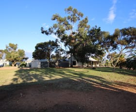 Rural / Farming commercial property sold at 497 Morgan-Cadell Road Cadell SA 5321