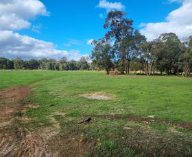 Rural / Farming commercial property for sale at Lot 4364 Weld Road Capel River WA 6271